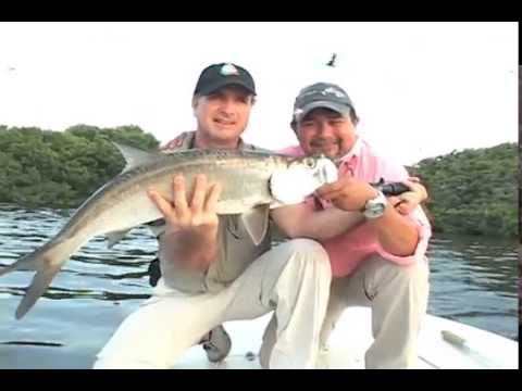 Visita a Mangrove King Fishing Lodge 2016 
