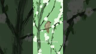 Bird and falling leaf animation #animation #2danimation #digitalart #procreate #procreateanimation