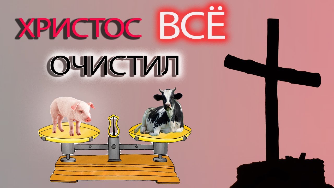 Нужно ли делить пищу на чистую и не чистую христианам? Христос же ясно ...