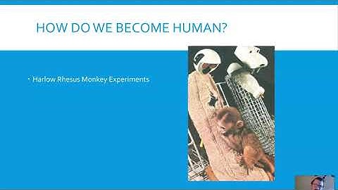 Soci 1101: What is Sociology