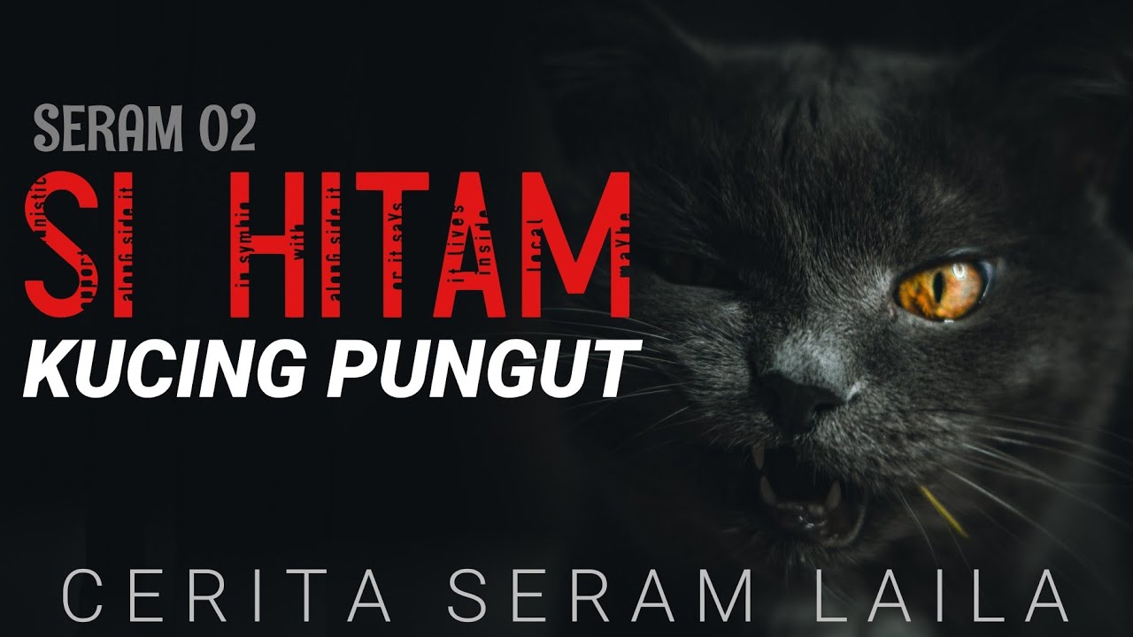 Seram 02 Si Hitam Kucing Pungut Youtube