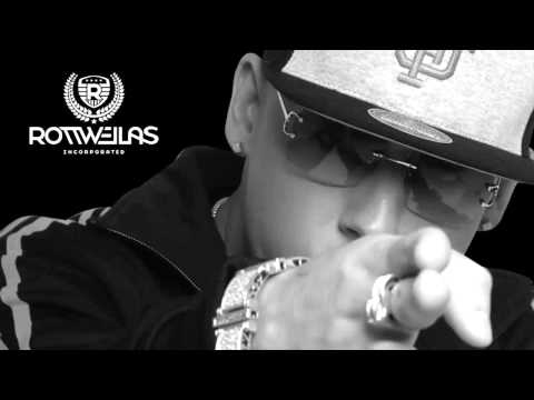 Putar Mami Nos Matamos - Cosculluela