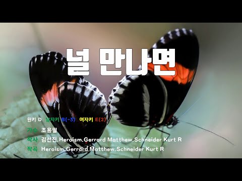 [은성 반주기] 널만나면 - 조용필