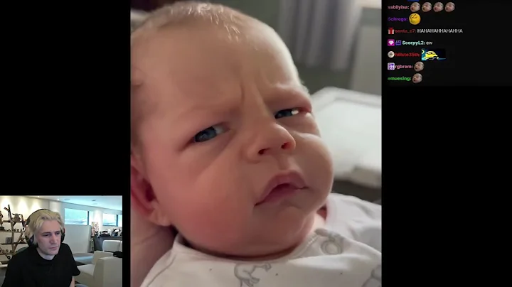 xQc Dies Laughing at Viral VIdeos