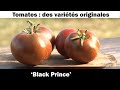La tomate  black prince culture et recette