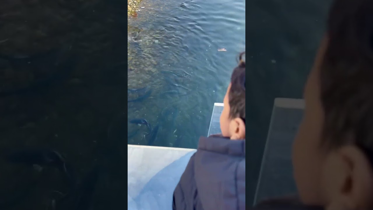 Castalia State Fish Hatchery 