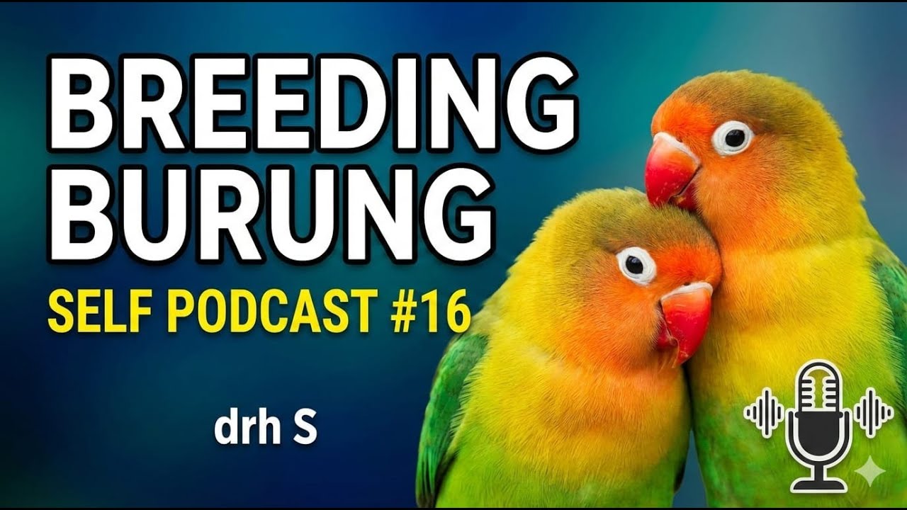 Self Podcast #16 | drh S : Ini Penyebab Gagal Produksi pada Burung #breeding #burung