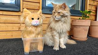 Buster's Clone!