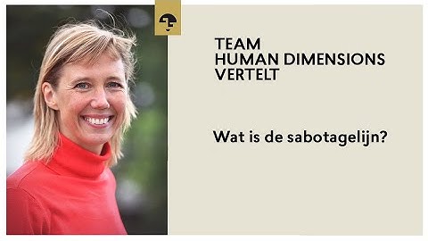 Wat is de sabotagelijn? Deep Democracy [MINI COLLEGE 14]