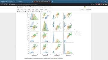 Task 6 TSF   Jupyter Notebook   Google Chrome 2020 11 17 20 25 23