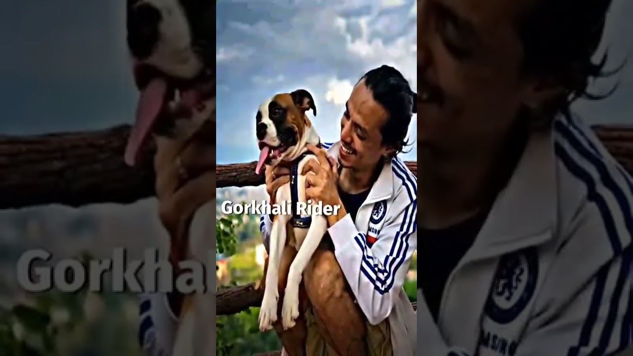 ‪@pridevjoshi463‬