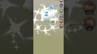 🔥SHINY LUCK CONTINUES🔥 Pokémon GO! #pokémongo #pokemongolive #shorts #galarianbirds