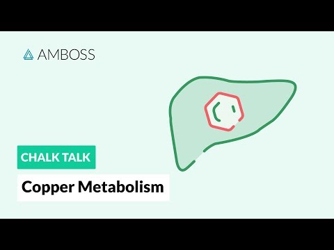 Copper Metabolism: Role of ATP7B