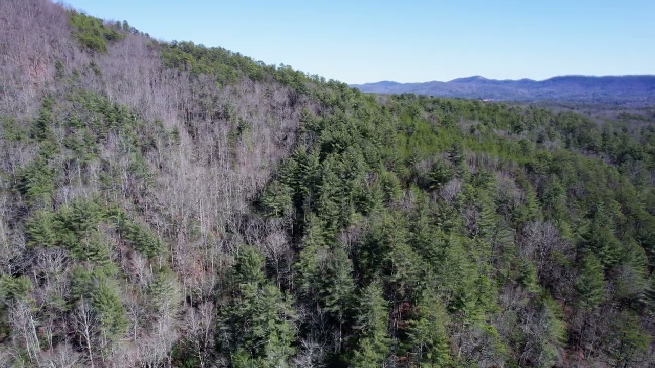 10 Acres Caldwell County NC