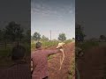INSANE RDR2 Lion Rescue! Brave Cowboy Saves Man From WILD Beast Attack #shorts #gaming