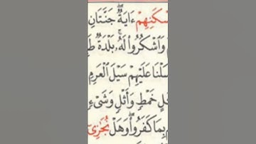 تلاوة من سورة سبأ