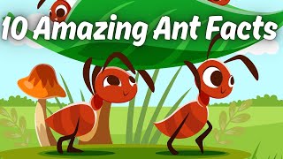 10 Amazing Ant Facts How Strong Are Ants? For Kids