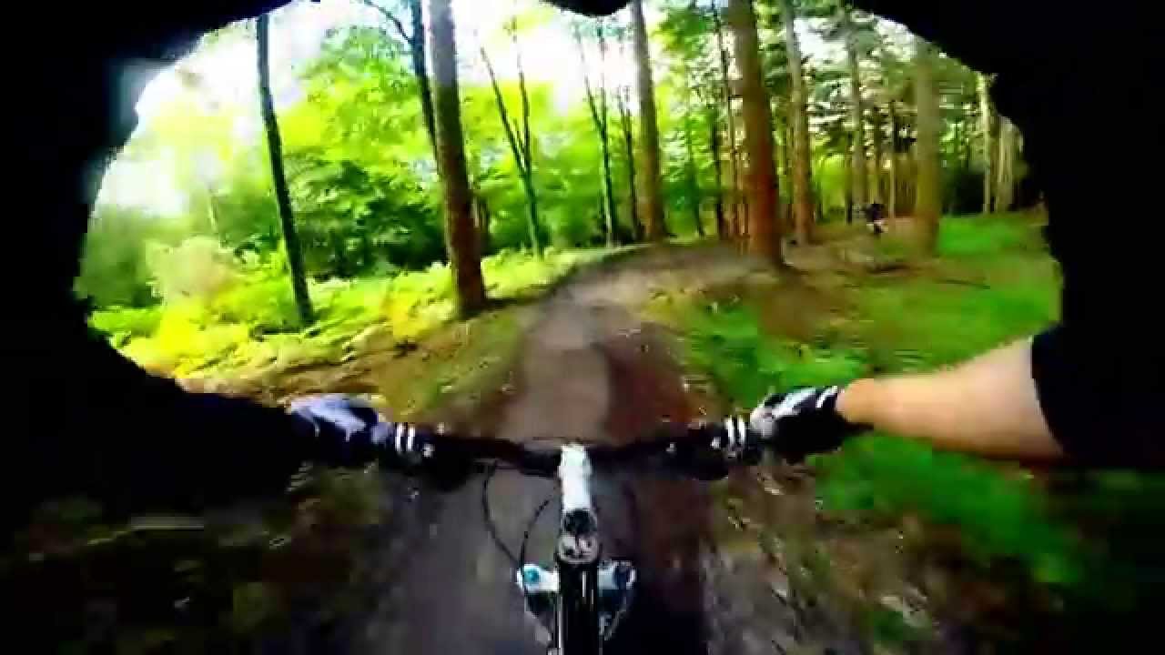 MTB at Hamsterly Forest - Pikes Teeth - Black Run