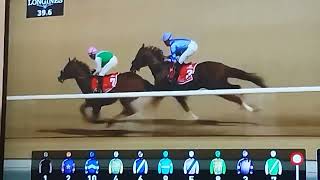 Larel River wins the Dubail World Cup Easily!!