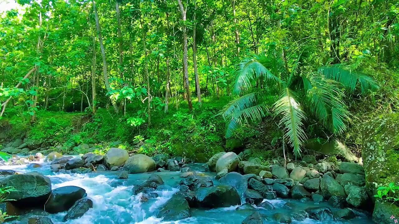 River Flowing Sounds 24/7 🌿 Nature Sounds - White Noise - for Deep Sleep and Relax