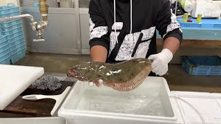 Cara Membuat Sashimi Ikan Sebelah |ヒラメ刺身の作り方 | how to make flounder fish sashimi screenshot 5