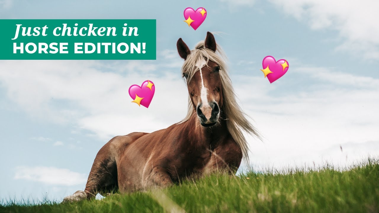 This Rescued Horse's Story Will Melt Your Heart 🐴 + Test Your Horse Knowledge!