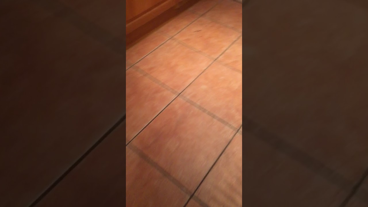 camera iphone 8 plus apk Pepper and pablo again