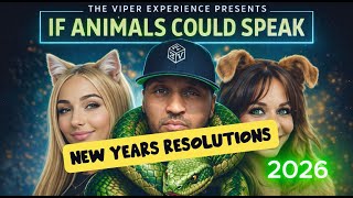 The Viper Experience - New Years Resolutions