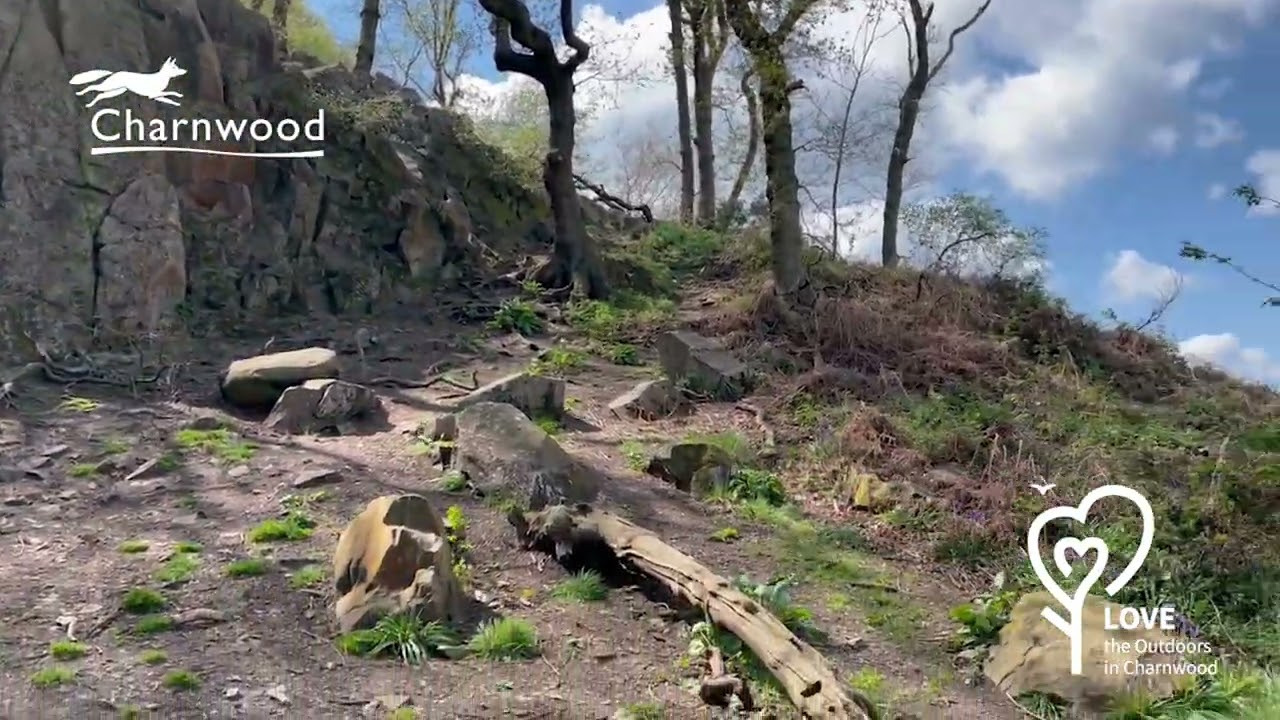 Love the outdoors in Charnwood - The Outwoods, Loughborough