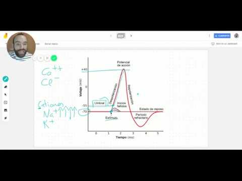 Video: ¿En el umbral de voltaje, el potencial de superficie es?