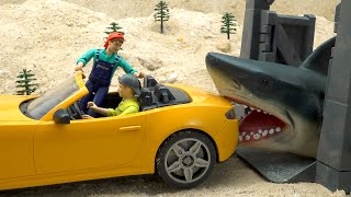 Car got into trouble because it angered the shark sleeping in the cave