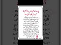 #muharam#quotes#hdees#quran#islam#Hussain
