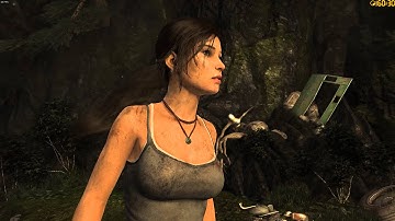 TombRaider r9 290 performance