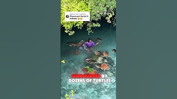 The Funniest Turtle Attack Ever Caught on Camera😂🐢