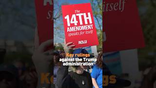 Key rulings against the Trump administration