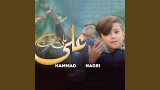 Download Lagu ALI ALI AS HAN MP3