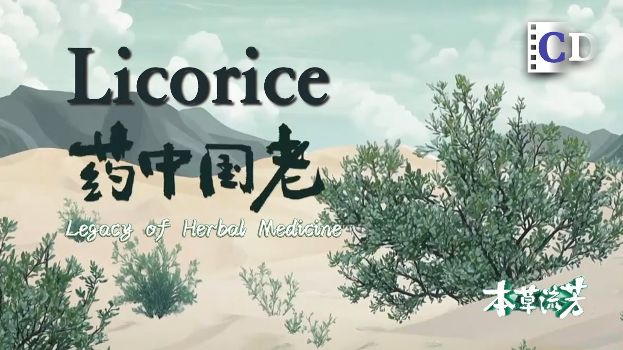 Why does Licorice rank first in usage among all herbal medicines? | China Documentary