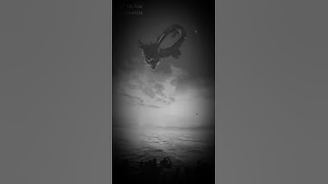 VIDEO QUAY CẬN CẢNH RỒNG BAY GIỮA BIỂN - RỒNG CÓ THẬT KHÔNG? - ARE REAL DRAGON?