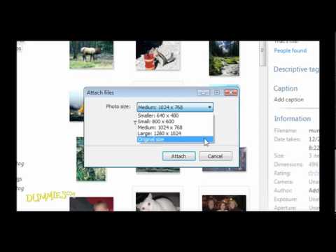 How to Email Photographs in Photo Gallery For Dummies hqdefault