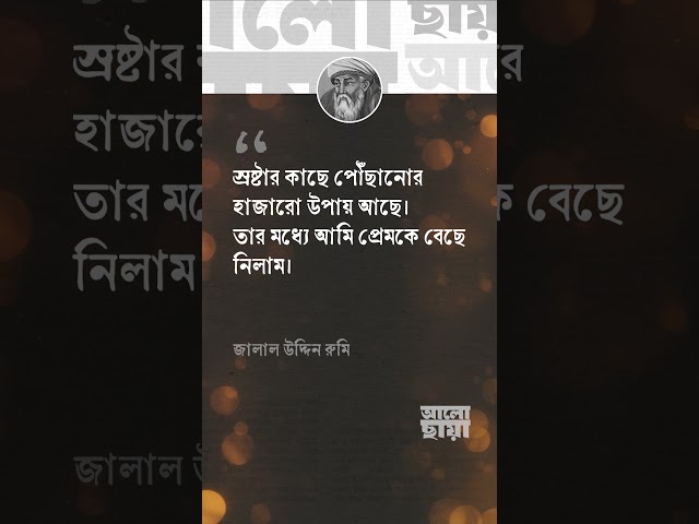 আমি প্রেমকে বেছে নিলাম। — জালাল উদ্দিন রুমি
