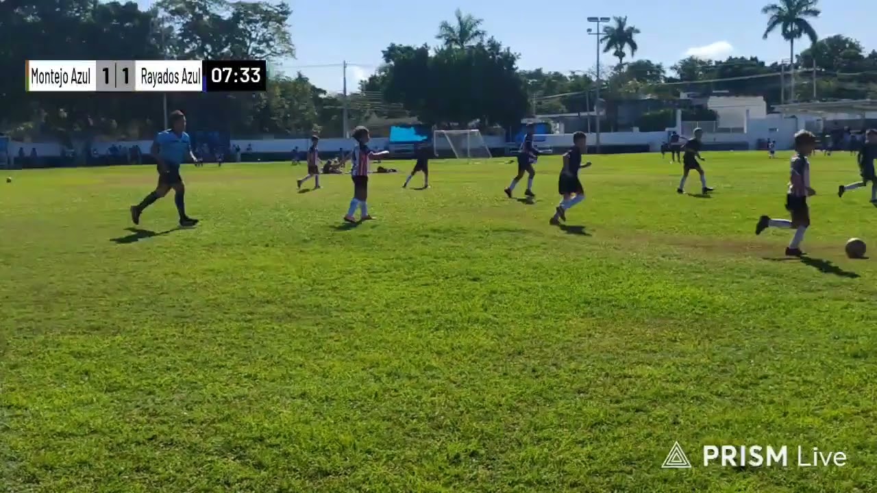 Montejo Azul vs Rayados Azul