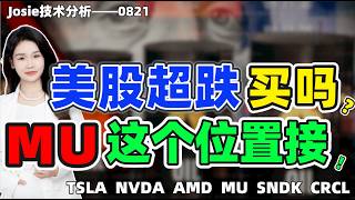 股票|美股|美股超跌买吗？MU这个位置接！ #tsla   #nvda  #amd  #mu #sndk  #crcl #美股  #美股分析