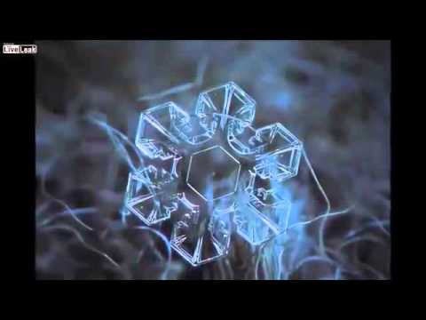 فيديو لا يصدق لندف الثلج ملتقطة بكاميرا عالية الجودة