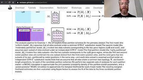 RevBayes Partitioned Data Analysis Tutorial