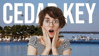 TOP 10 Things to do in Cedar Key, Florida!