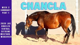 Week 2 Summary Part 1, 2020 Los Angeles Virtual Extreme Mustang Makeover