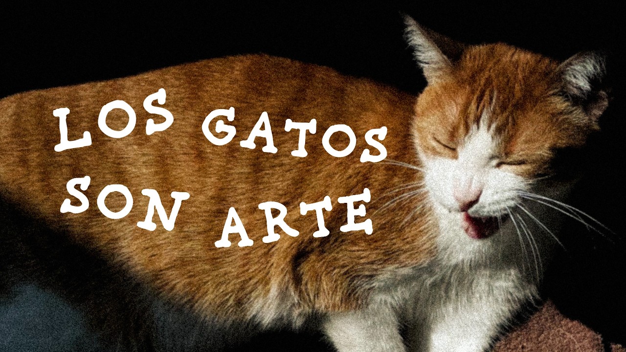 los GATOS y el ARTE