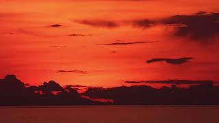 Hypnotic Progressive Reflections | Progressive House Mix 2026