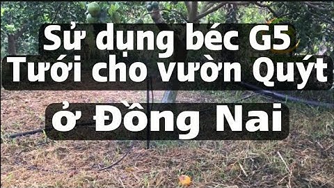 Hoàn thành Hệ thống tưới cho vườn Quýt ở Đồng Nai | Ecotech