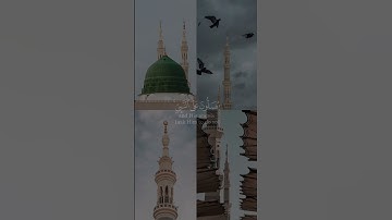 إن الله وملائكته يصلون على النبي من سورة الاحزاب بصوت الشيخ هزاع البلوشي